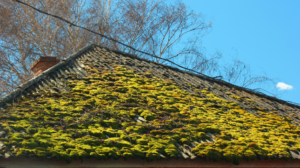 Pensacola roofing companies