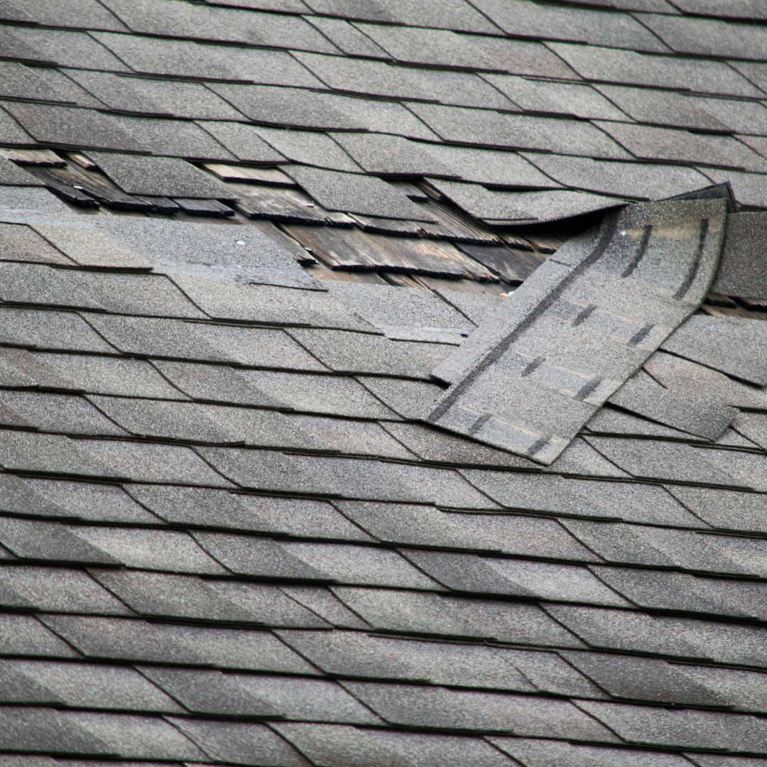 Roof Repair in Pensacola | Gulf Breeze