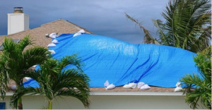 roof repair company in Panama City