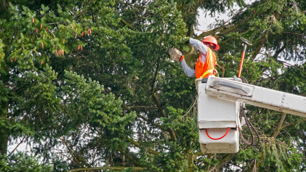 Spring Cleaning for Your Pensacola Roof Kings Roofing NWFL, LLC