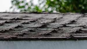 Tallahassee, FL Roofing Companies