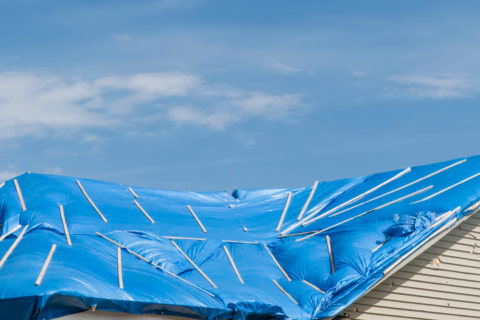Best Roofing Companies In Pensacola FL