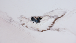 Destin Roofing Companies | Roof Repair Company in Panama City FL | Panama City Roofing Company | Residential and Commercial Roofer in Panama City | Pensacola, Panama City, Port Charlotte, Destin, Fort Myers, Sarasota, Venice, Punta Gorda, Englewood, Arcadia, Cape Coral, North Port