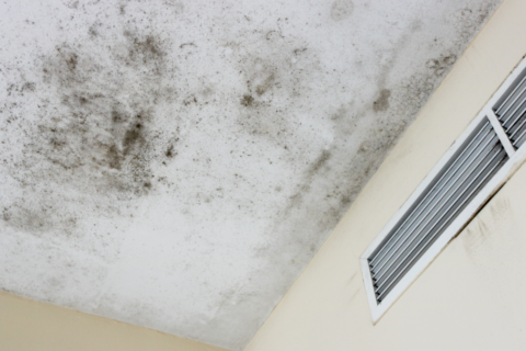 Pensacola Roofing Companies