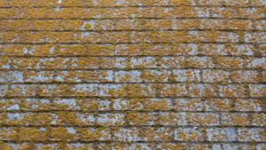 Roofer In Pensacola