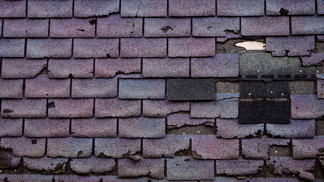 The Best Roofing Company in Pensacola Helps You Identify Roof Damage