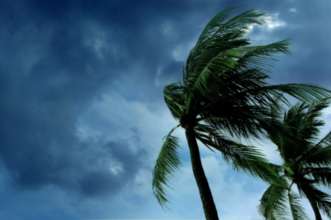 Panama City Roofing Companies