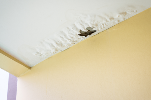 Roof Repair Company In Panama City FL