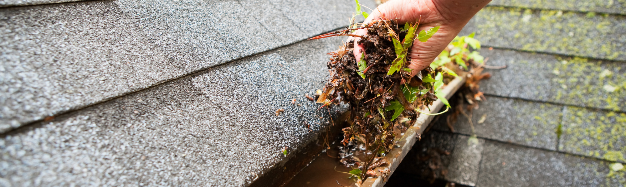 Most Frequent Problems with Gutters in Destin