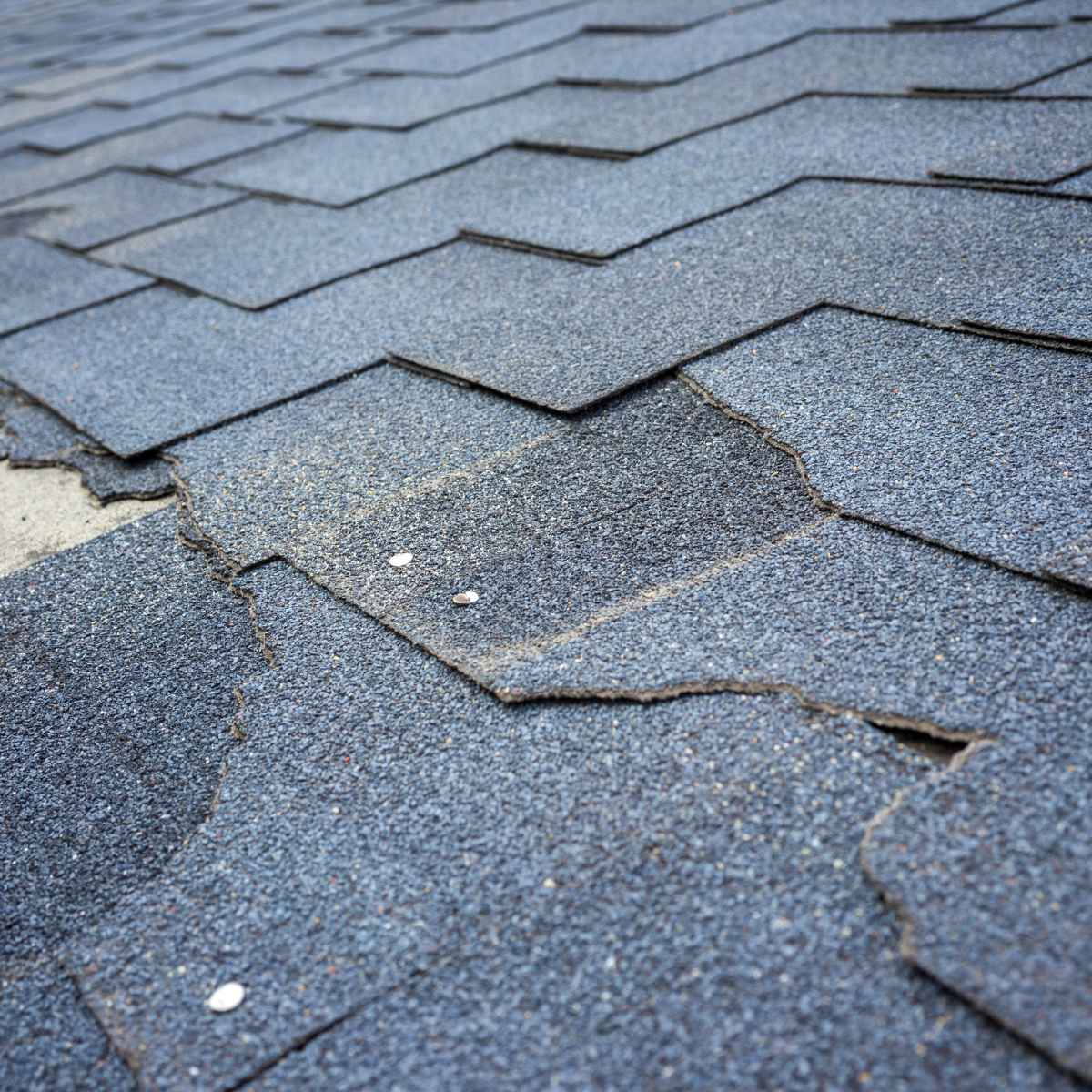 best roofing company - metal roof contractor - roofer - leading residential and commercial roof repair companies - Pensacola, Panama City, Destin, Port Charlotte, Fort Myers, Sarasota, Punta Gorda