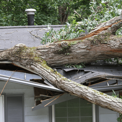 best roofing company - metal roof contractor - roofer - leading residential and commercial roof repair companies - Pensacola, Panama City, Destin, Port Charlotte, Fort Myers, Sarasota, Punta Gorda